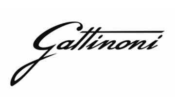 Gattinoni